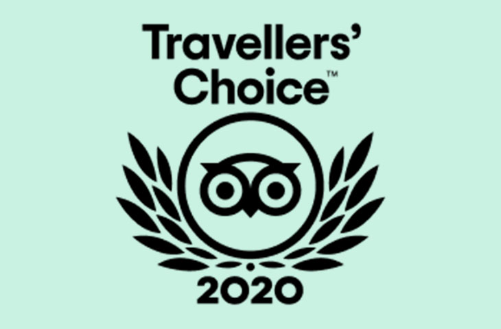 Travellers' Choice 2020 logo